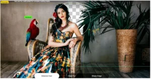 Aiarty Image Matting