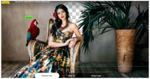 Aiarty Image Matting v2.6 (macOS)