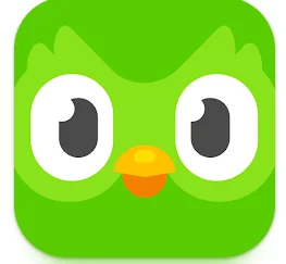 Duolingo language lessons,