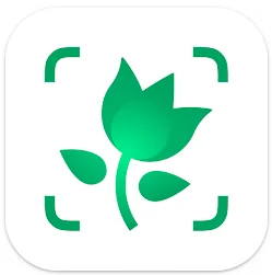 PictureThis Plant Identifier