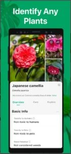 PictureThis Plant Identifier