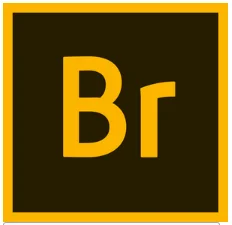 Adobe Bridge 2026 v16.0 (x64) Free Download