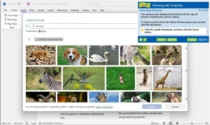 Professor Teaches Word 2021 v7.1 Free Download